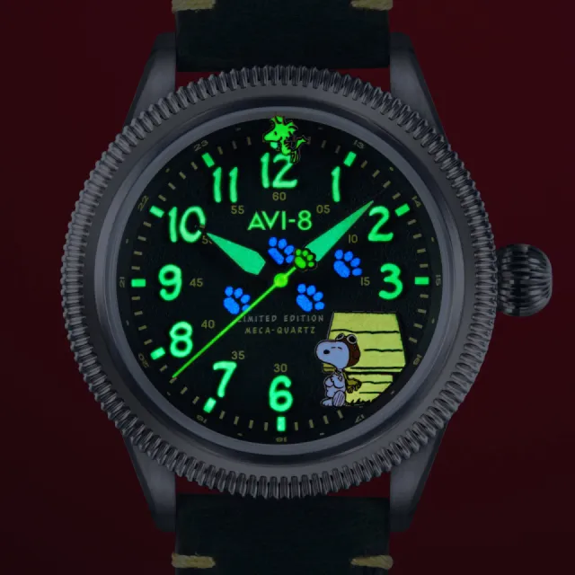 AVI-8 Flyboy Airmaster 40 Meca-Quartz Peanuts Snoopy Flying Ace Limited Edition Doghouse Green AV413901 Görsel 5