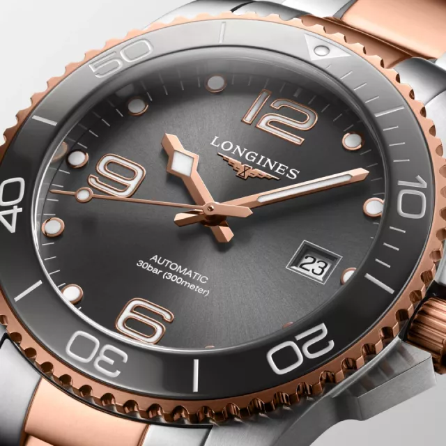 Longines HydroConquest L37813787 Görsel 2