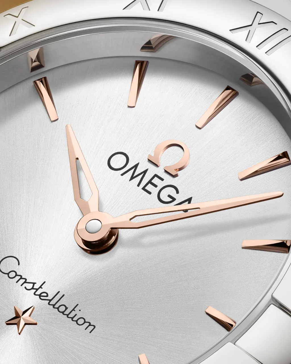 Omega Constellation Steel on Steel 25 mm 13110256002002 detay görseli 3
