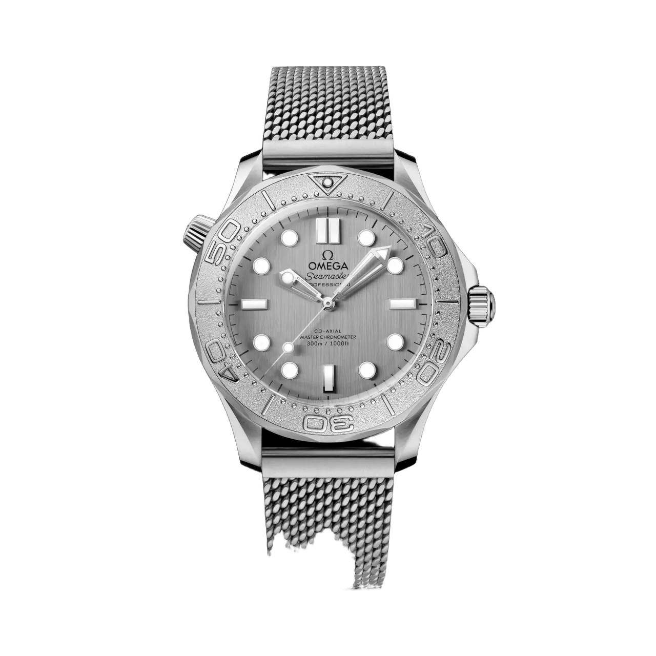 Omega Seamaster Diver 300M Steel on Steel 21030422006002