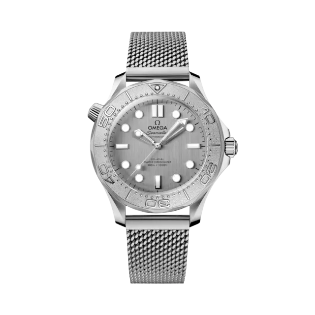 Omega Seamaster Diver 300M Steel on Steel 21030422006002 Görsel 1