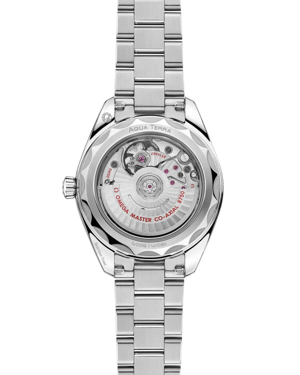 Omega Seamaster Aqua Terra 30 mm Steel on Steel 22010302003001 detay görseli 1