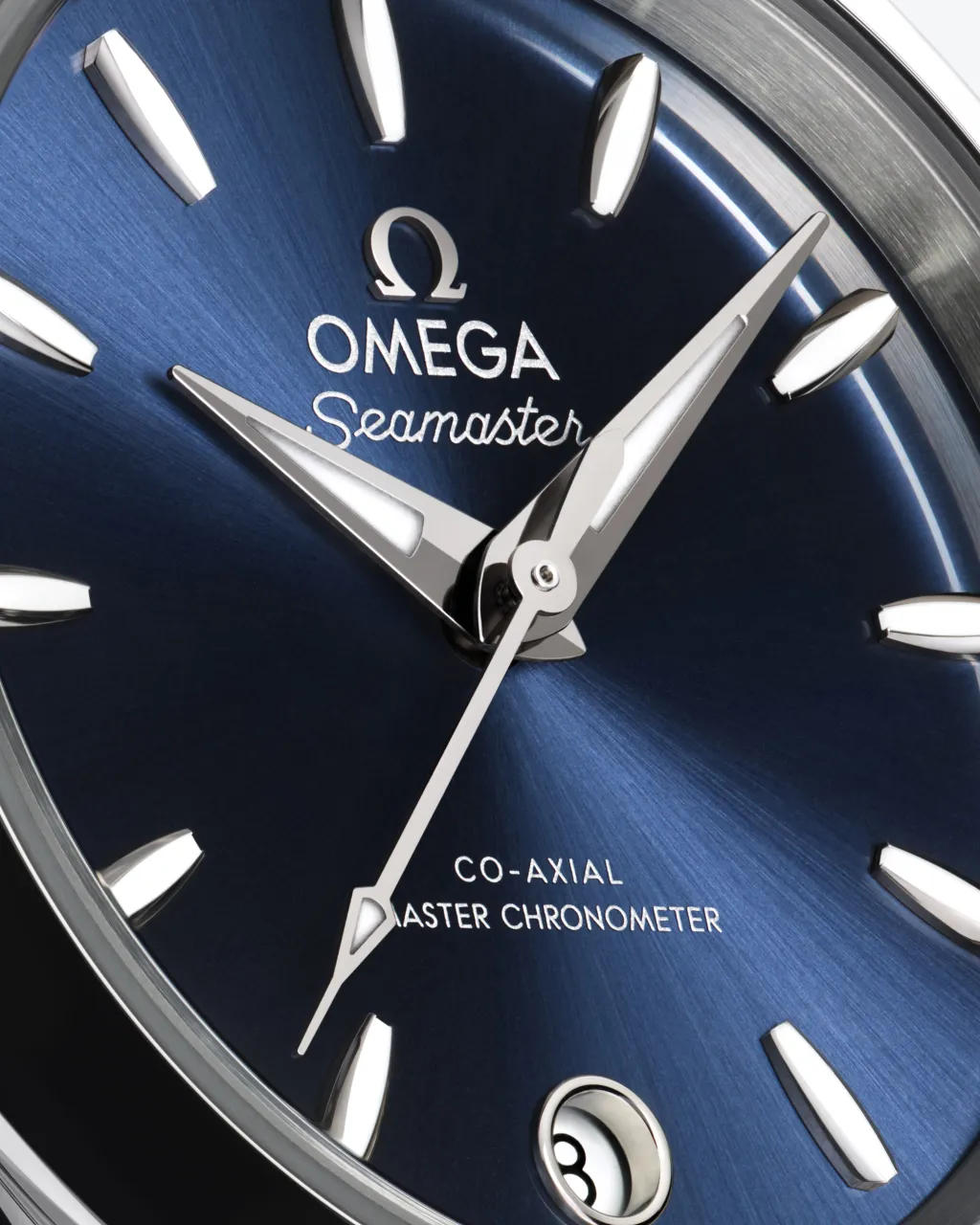 Omega Seamaster Aqua Terra 30 mm Steel on Steel 22010302003001 detay görseli 2
