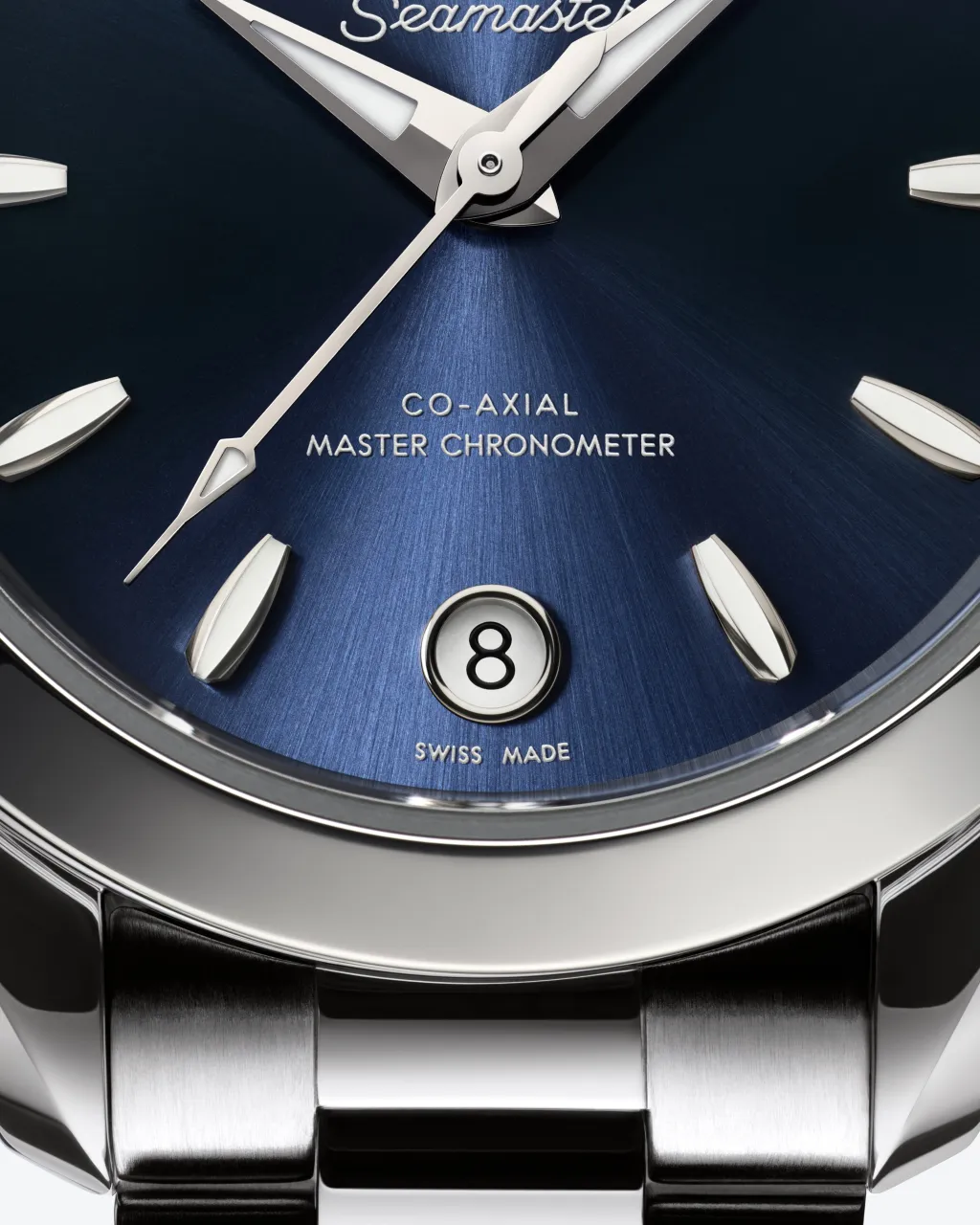 Omega Seamaster Aqua Terra 30 mm Steel on Steel 22010302003001 detay görseli 3