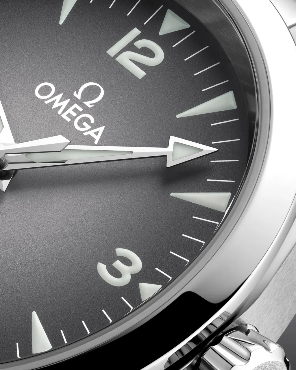 Omega Seamaster Railmaster Grey Otomatik 23510382006001 detay görseli 4