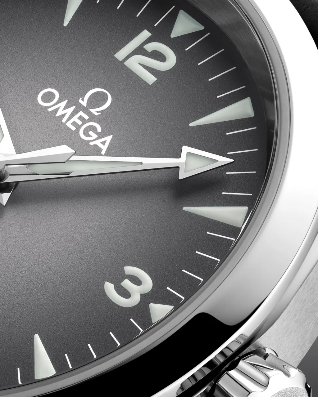 Omega Seamaster Railmaster Grey Otomatik 23512382006001 detay görseli 2