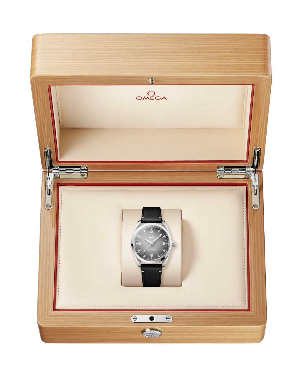 Omega Seamaster Railmaster Grey Otomatik 23512382006001 detay görseli 4