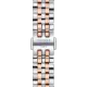 Tissot Le Locle Automatic Lady (2900) T0062072203600 Görsel4