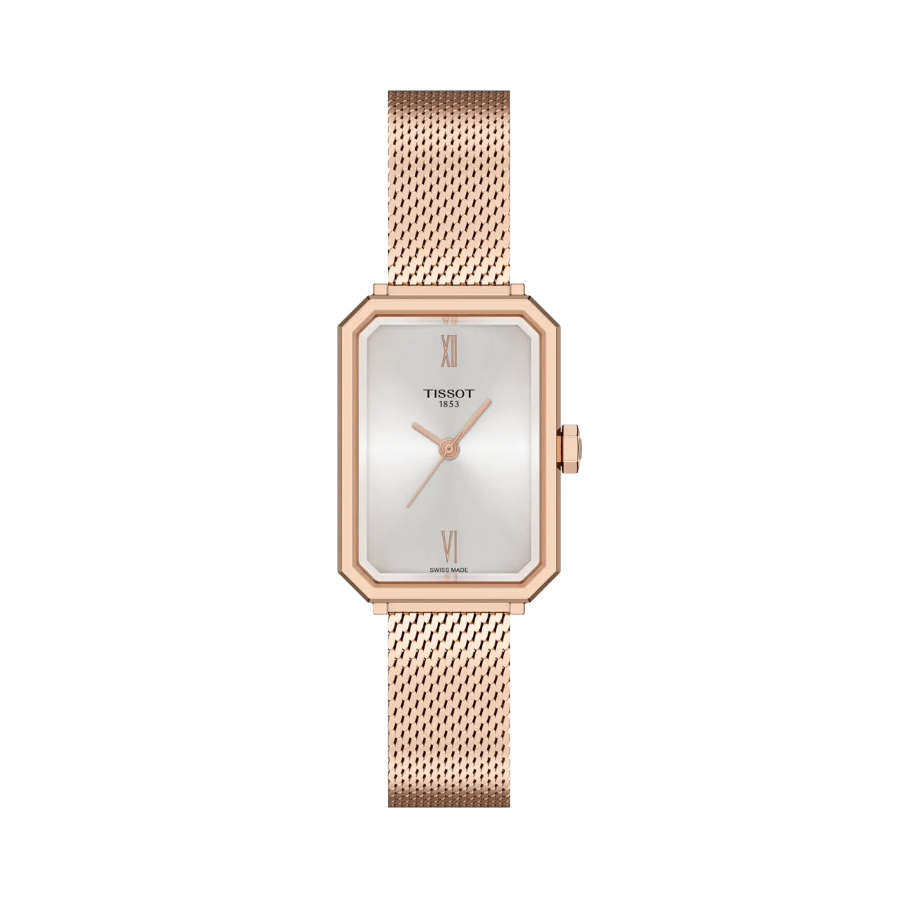 Tissot SRV 30mm Gümüş T1601103303300