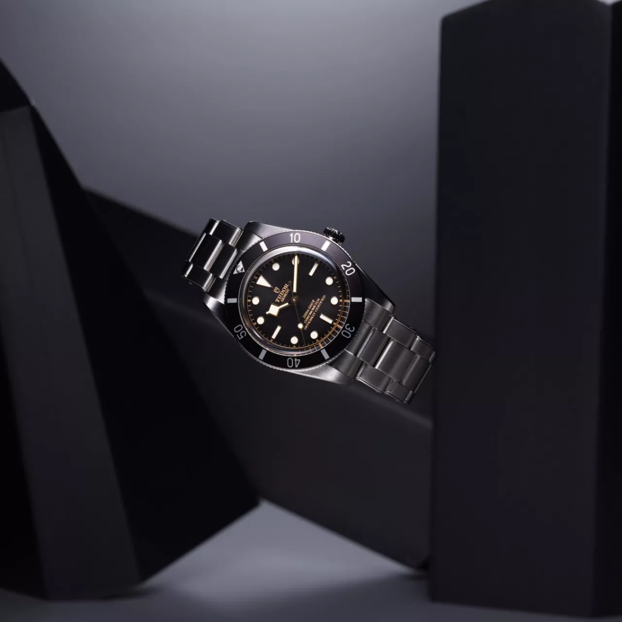 Tudor Black Bay M79000N-0001 detay görseli 3