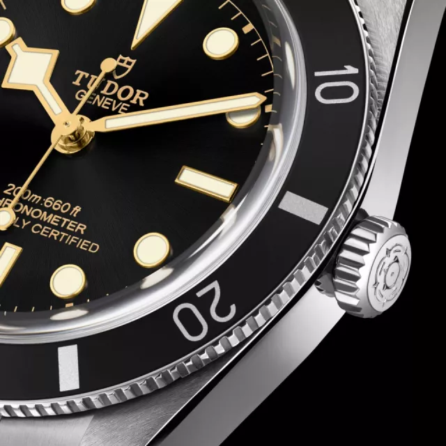 Tudor Black Bay M79000N-0001 Görsel 2
