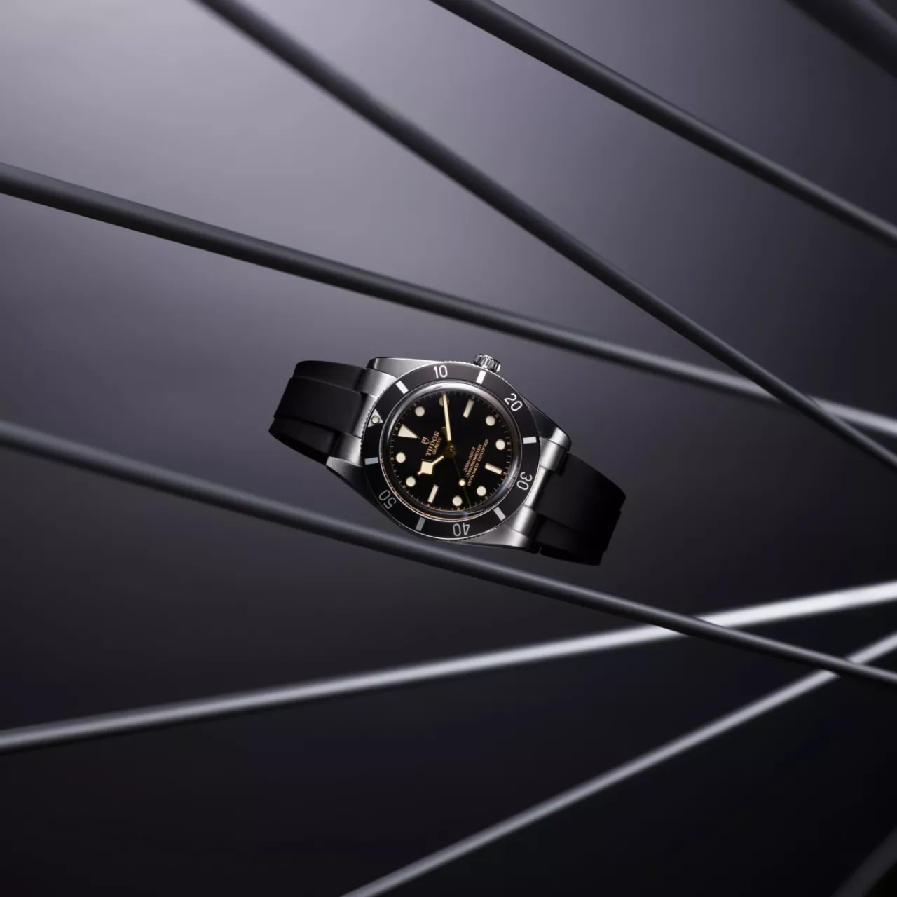 Tudor Black Bay M79000N-0002 detay görseli 4