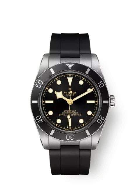 Tudor Black Bay M79000N-0002 Ana Görsel